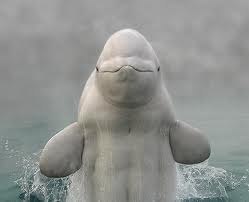 Iryna Kasabutskaya | Слуцк