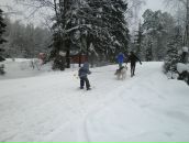 №13 Светлана Ларионова 04.04: профиль, фото, статус - ВКонтакте