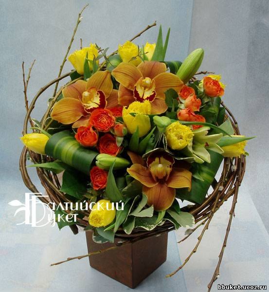 №74, Светлана Морозова, Санкт-Петербург №74, Светлана Морозова, Санкт-Петербург