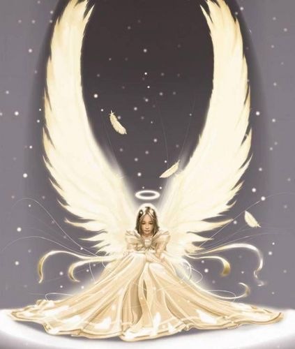 №52, Тимофей Васильевич №52, Тимофей Васильевич