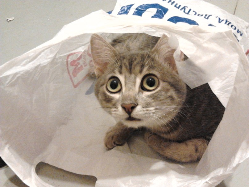 Лилианна Мухутдинова | Казань