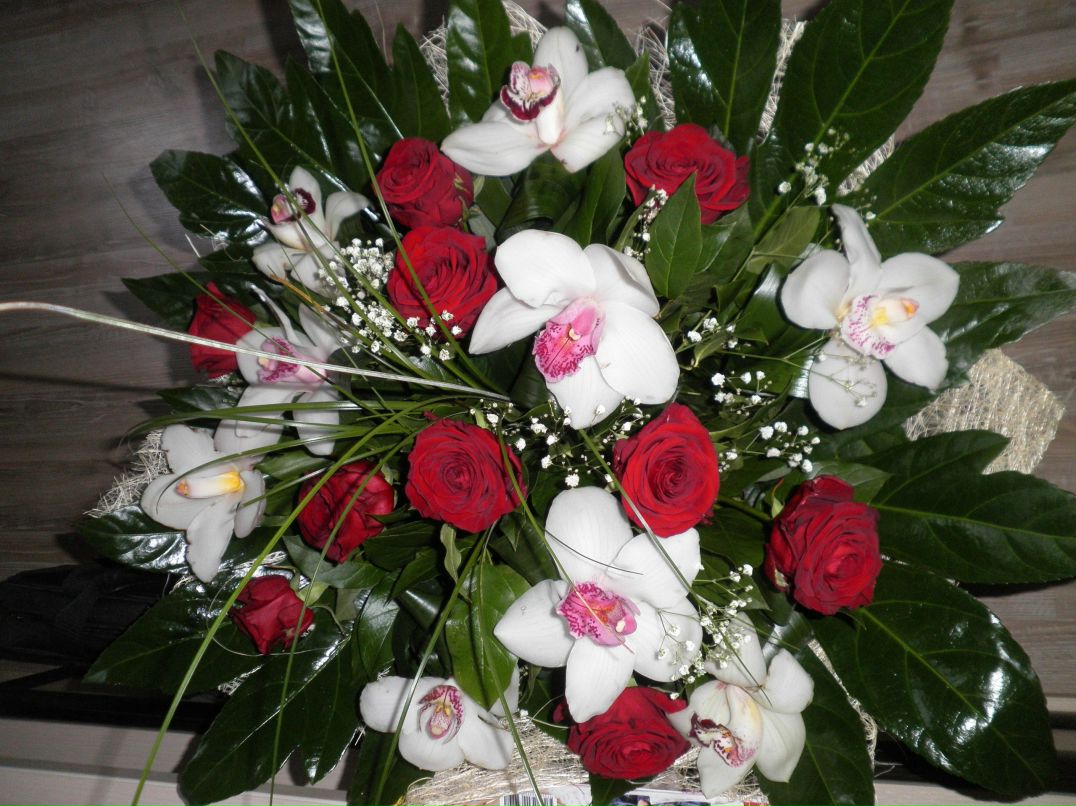 Настюша Мосина | Москва