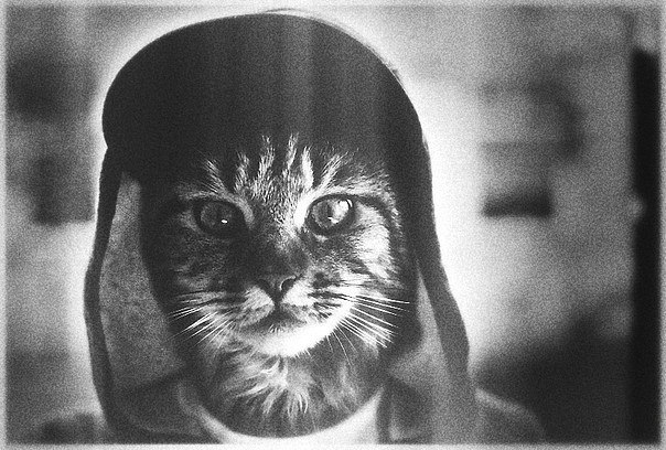 Евгения Клокова | Сочи