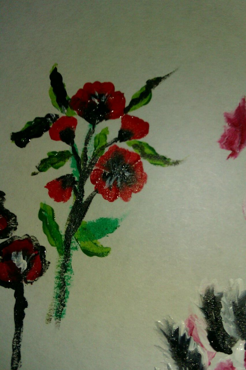 Александра Лозовая | Оренбург