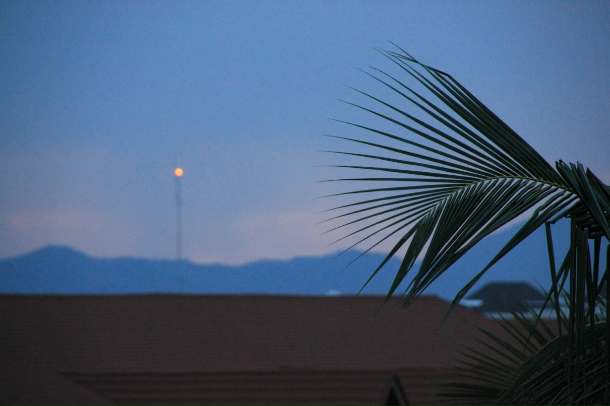 Алексей Некрасов | Выборг