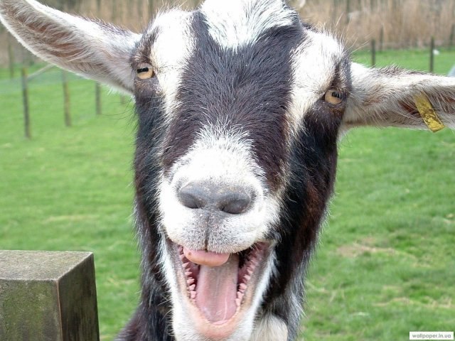 Катя Колесниченко | Санкт-Петербург