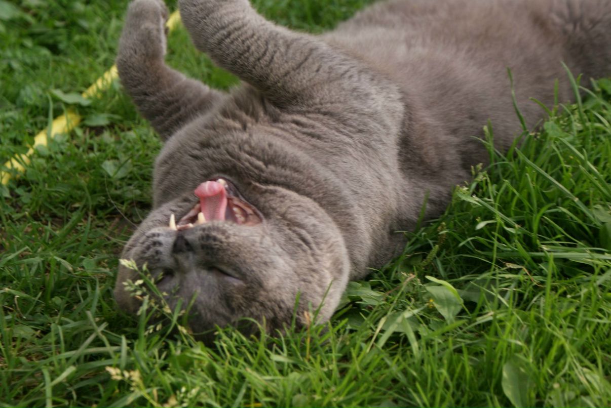 Олег Кирилкин | Москва