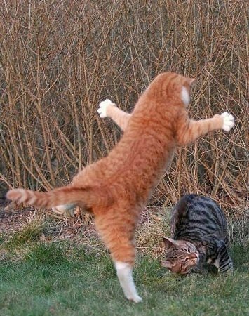 №60, Татьяна Чернова, Оренбург №60, Татьяна Чернова, Оренбург