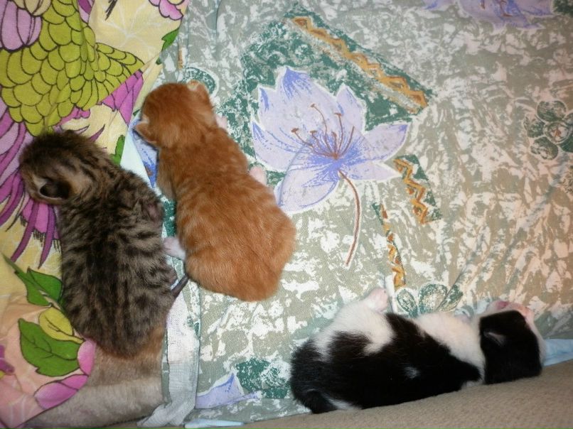 Светлана Исакова | Мурманск