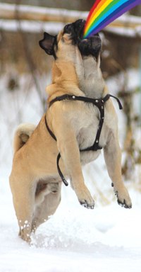 Алексей Филипов -=WTF=- | 