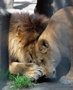 Анна Астахова | Северодвинск