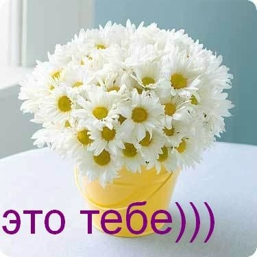 №63, Елена Модестова, Санкт-Петербург №63, Елена Модестова, Санкт-Петербург