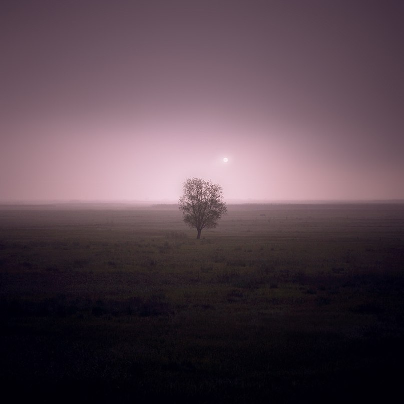 Юлия Духанова | Калининград