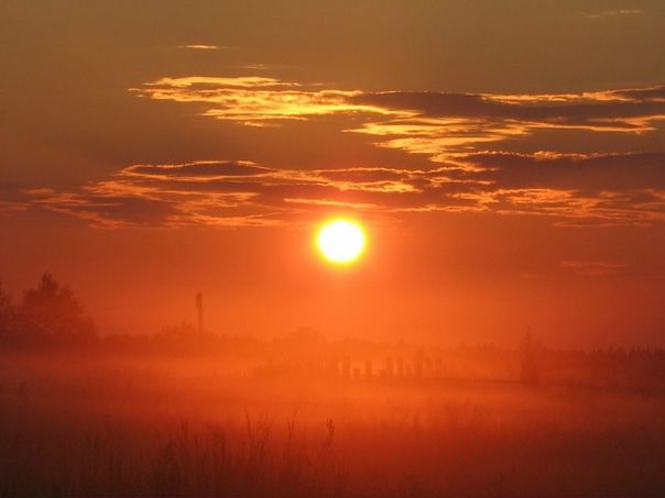 №86, Ксения Азаренко, 34 года, Ижевск, Россия №86, Ксения Азаренко, 34 года, Ижевск, Россия