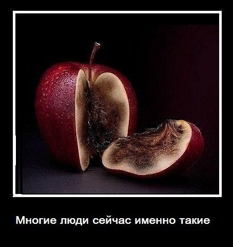 Александр Куранов | Егорьевск