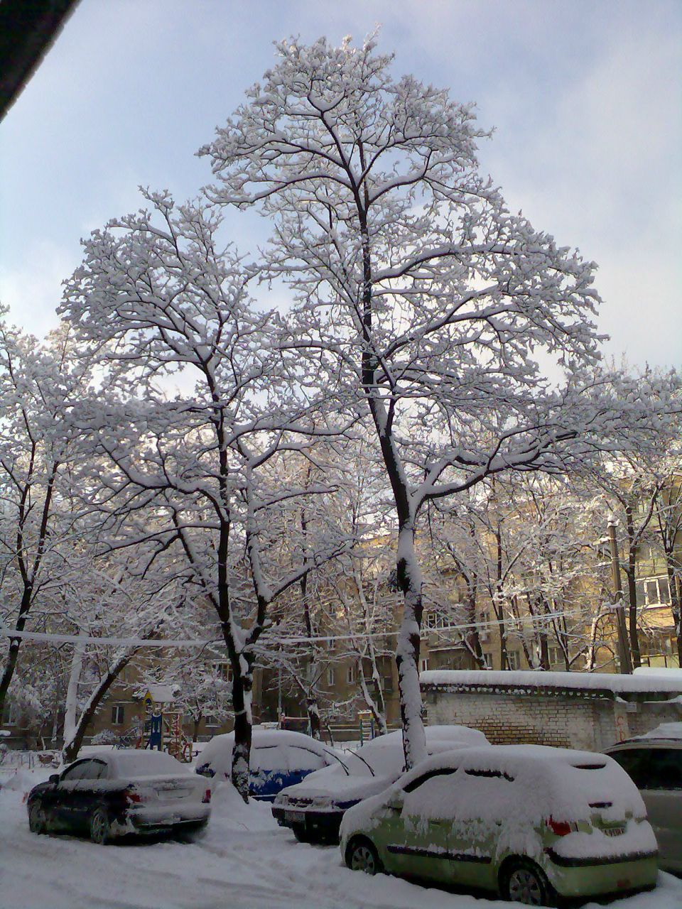 Рома Сухенко | 