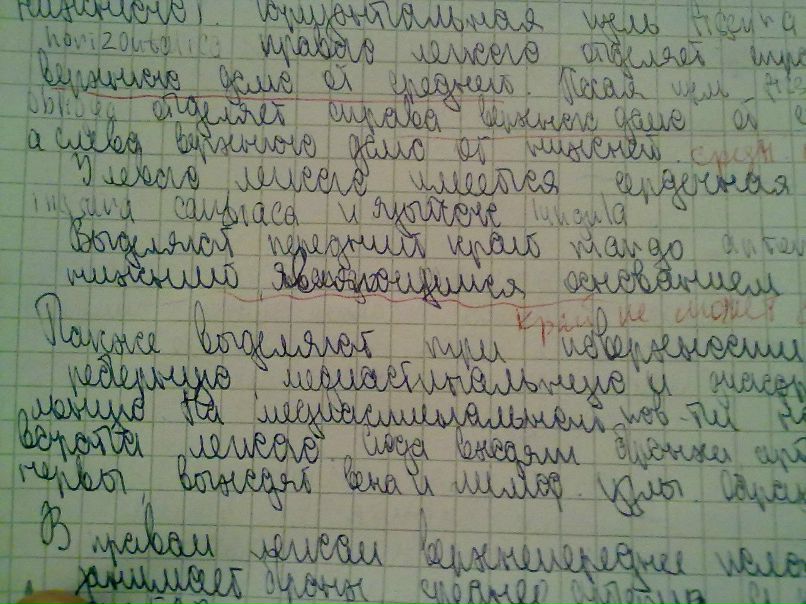 Марина Рысь Дмитриевна | 