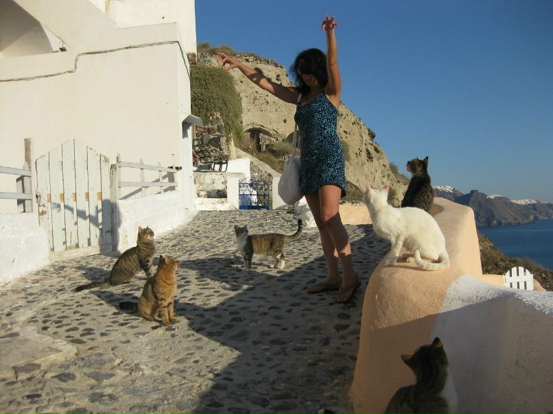 Илюша Мифф | Киев