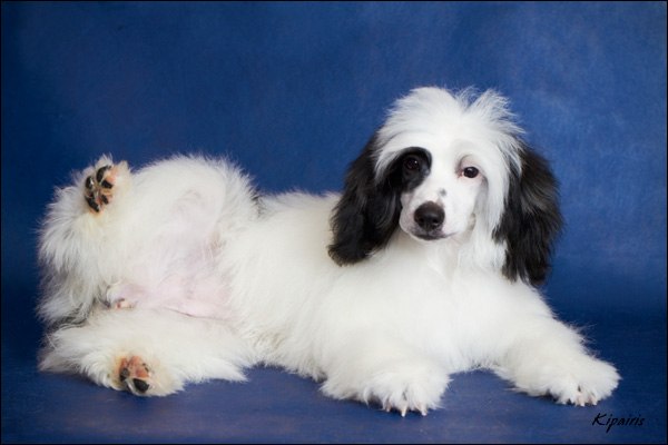 Сашка Солнцева | Москва