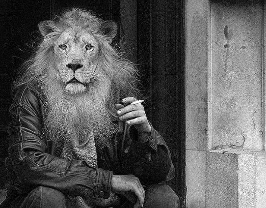 Юля Кобцева | Владивосток