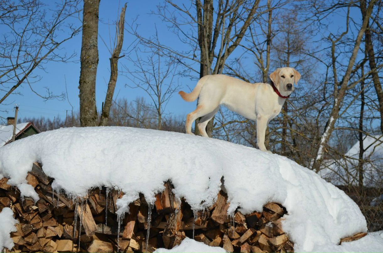 Marina-Марго Kameneva | Санкт-Петербург