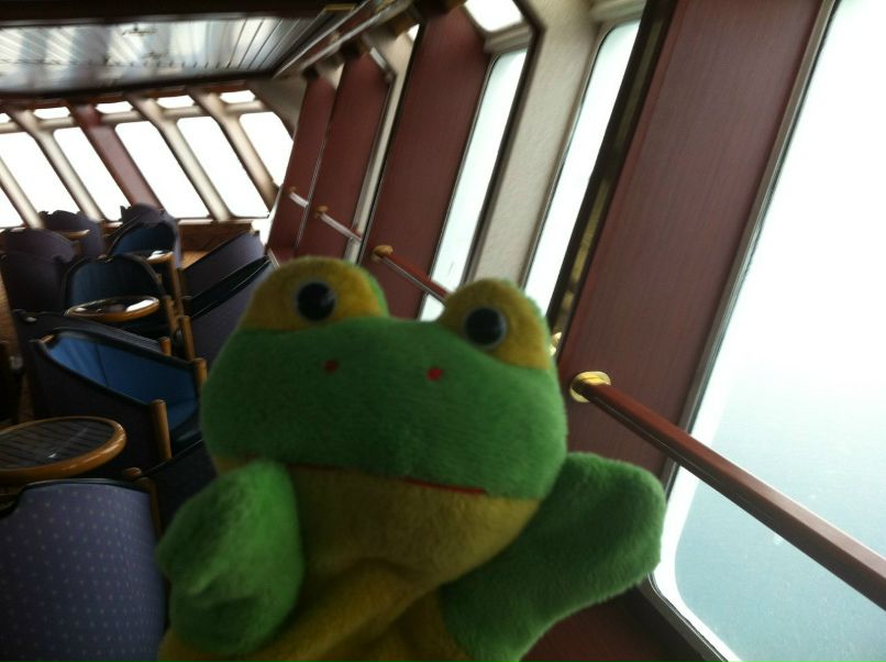 Лягушка Путешественник | 