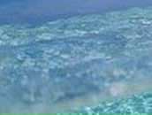 Ірина Лях | Львов