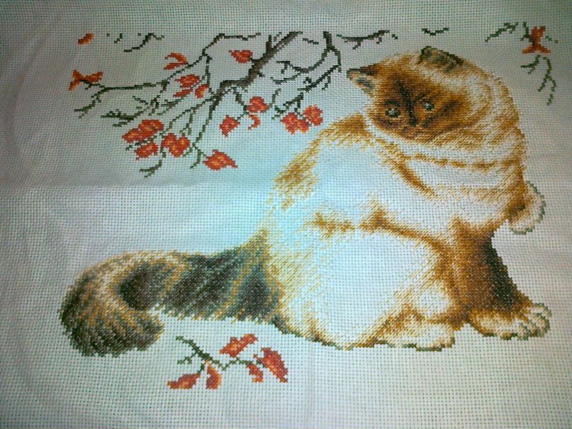 Юлия Яковлева | Уфа