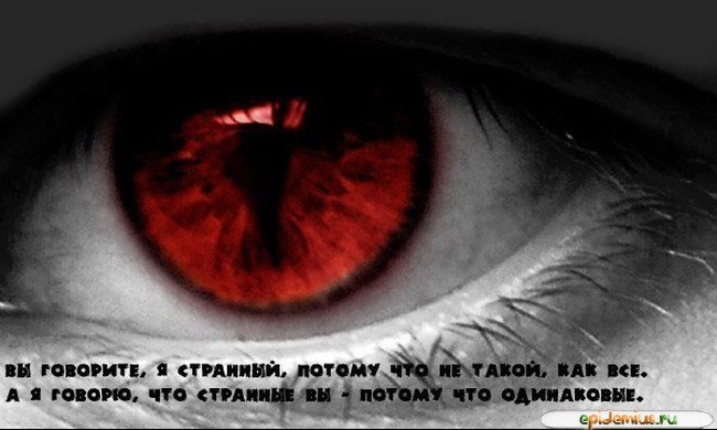 Колёк Прокопик | Великий Новгород