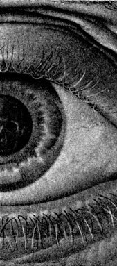 Андрей Беляк | Bat Yam