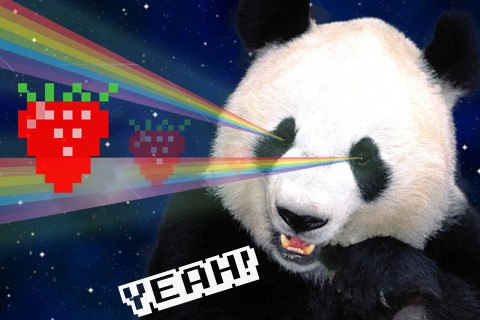 Катя Артюх | Киев