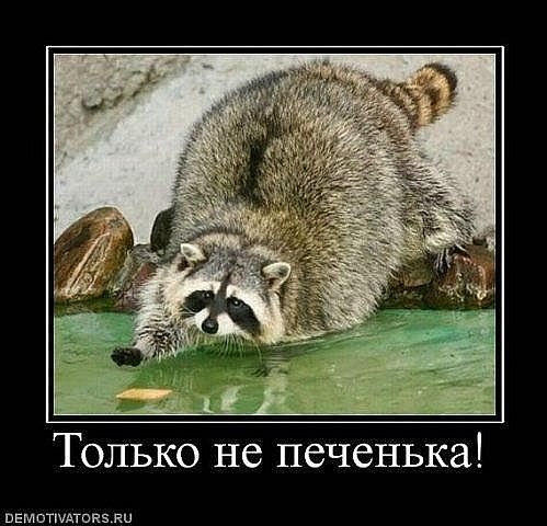 Айсылу Шайбакова Ajsyla | Уфа