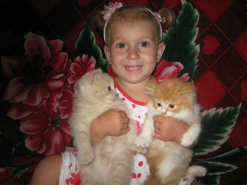 Светлана Баталова | Запорожье