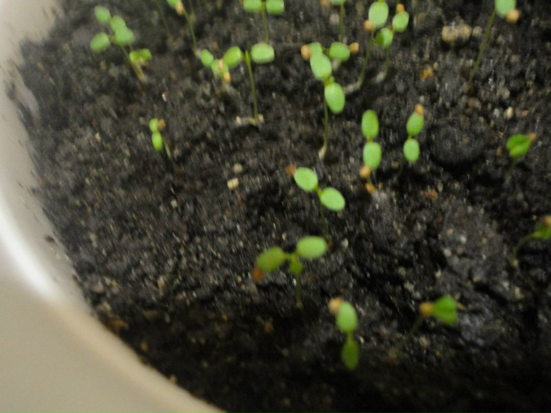 Диман Журавлёв | Москва