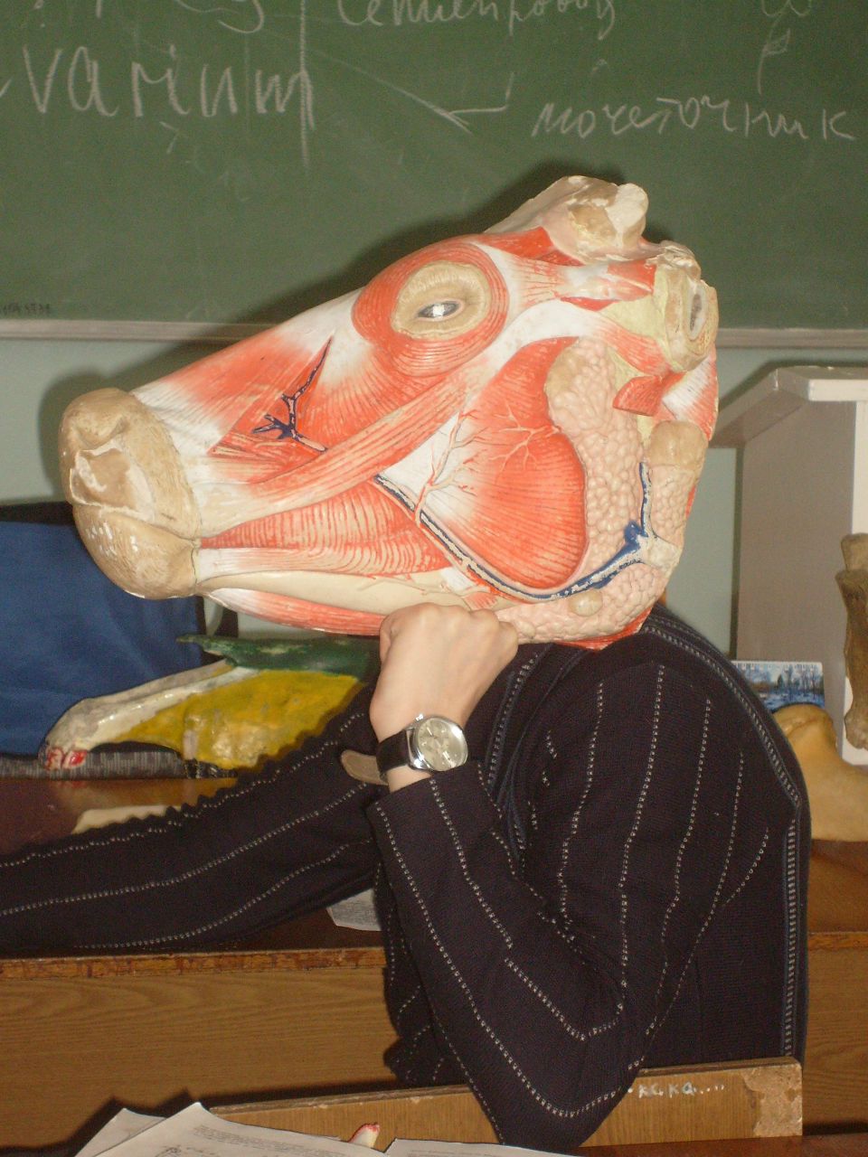 Антон Алексинский | Нижний Новгород