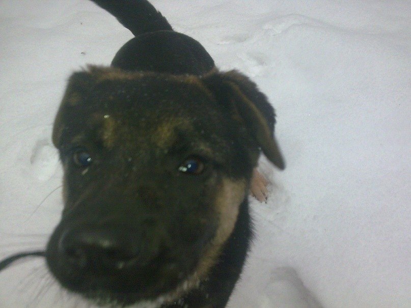 Паша Никулочкин Face-control | Калуга