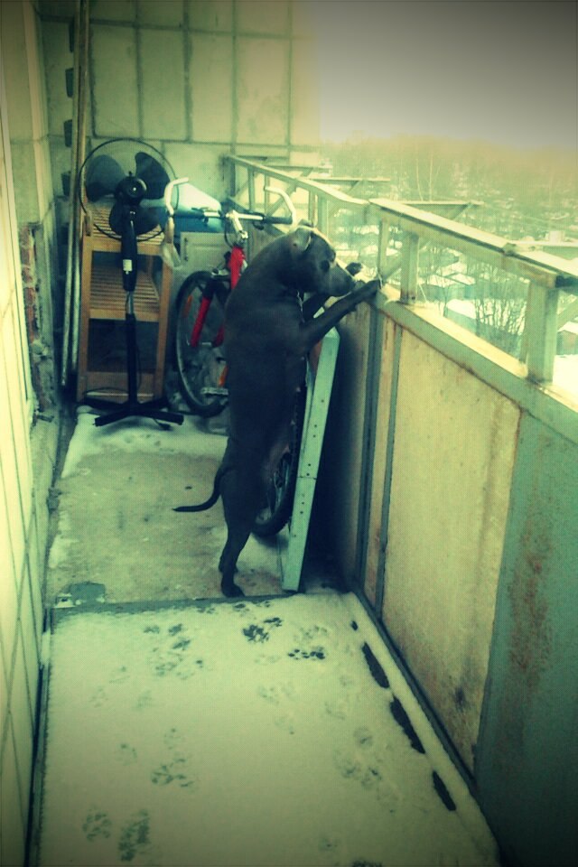 Анатолий Соколов | Санкт-Петербург