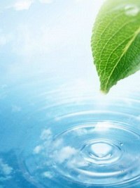 Мария Сергеева | Новосибирск