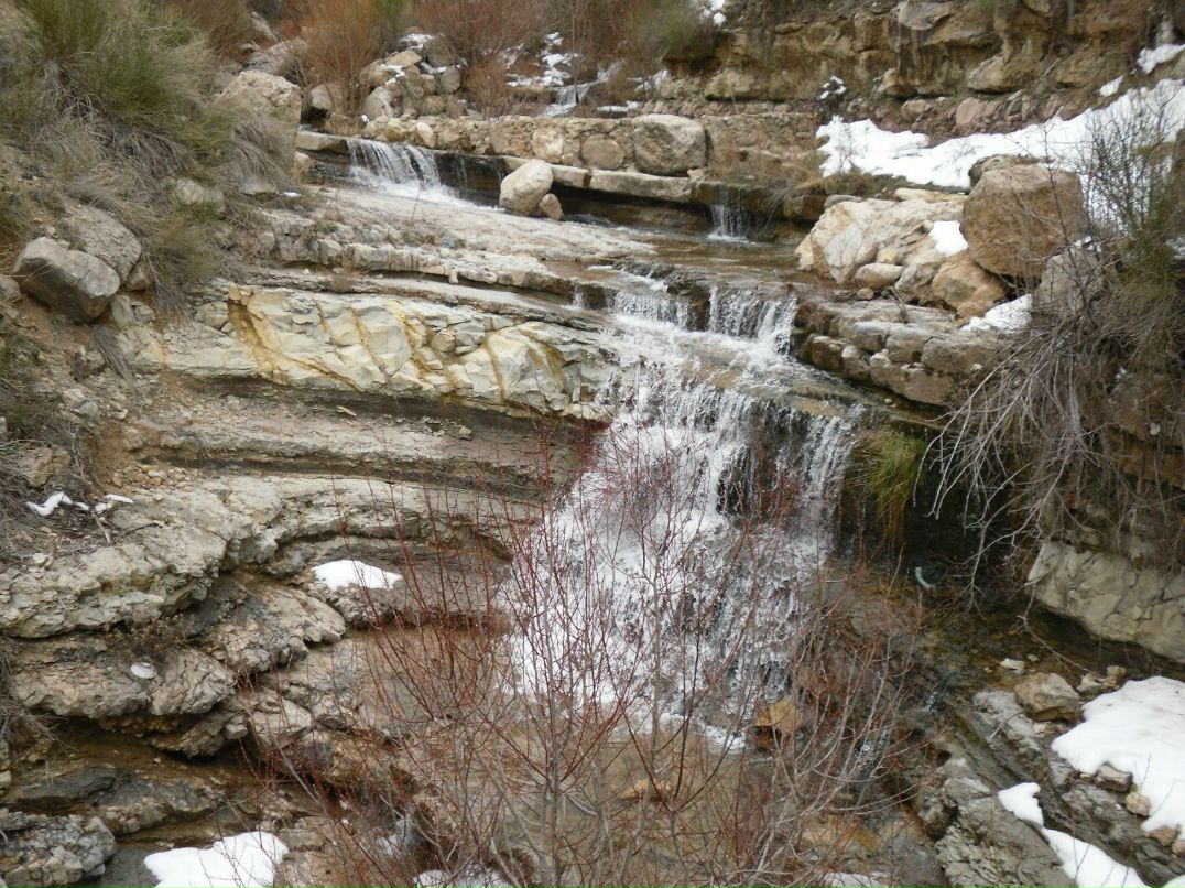 Alina Simonova | Сумы