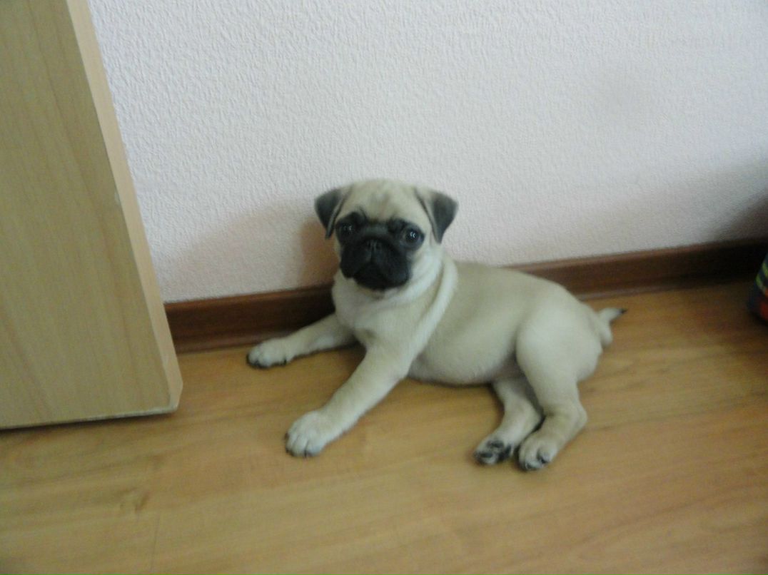 Ксения Заборова | Казань