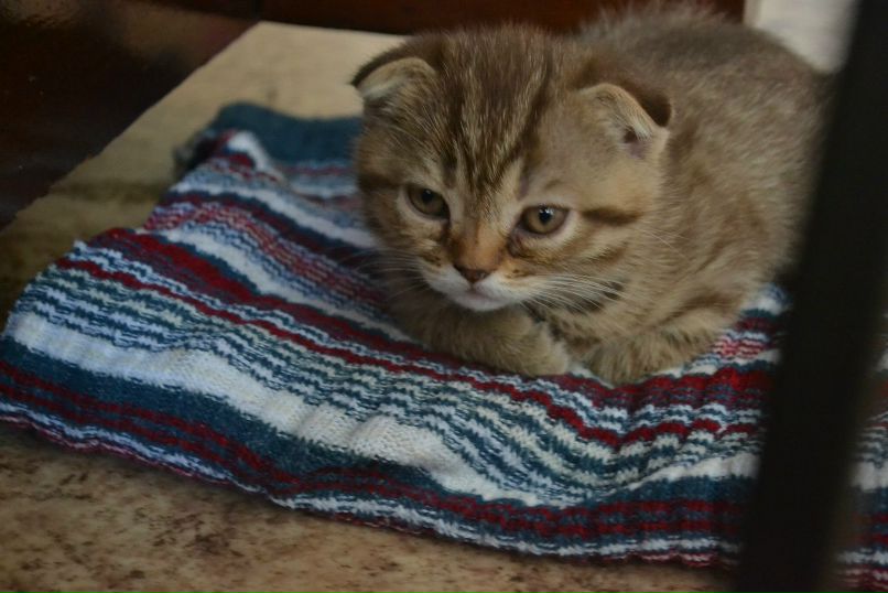 Любовь Кислянских | Воронеж