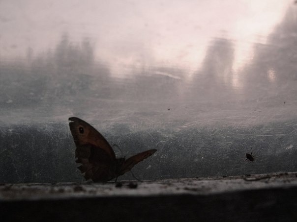 Анна Резанова | Москва