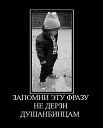 Фотография Баха Сафаров
