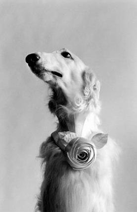 Ludmila Pavlenko | Brno