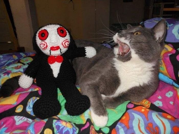 Наталья Перепичко _^._.^_ | Одесса