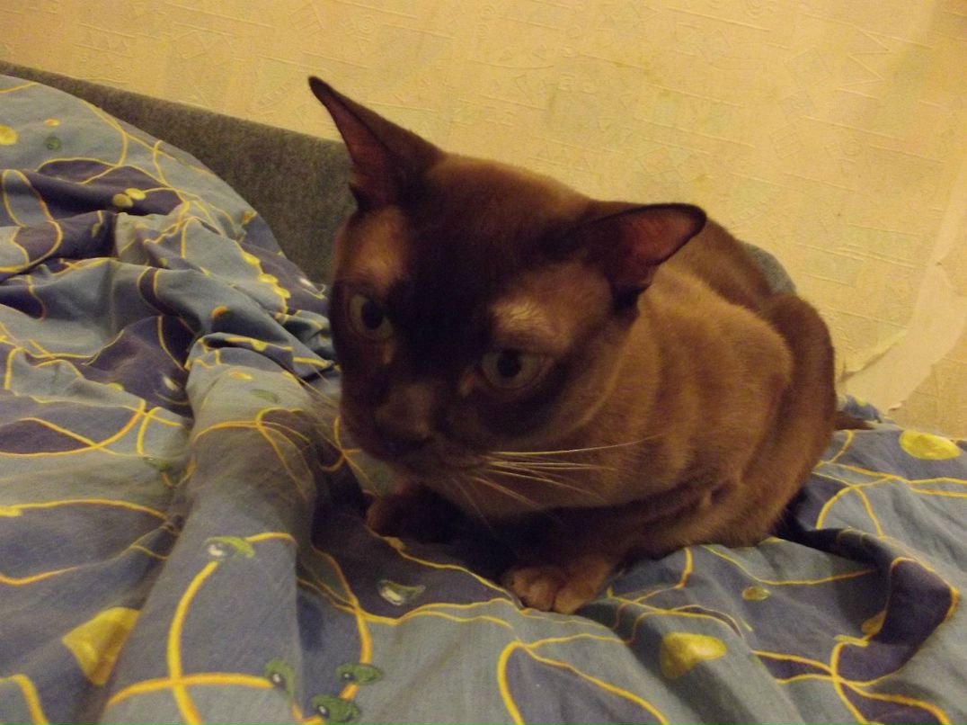 Ростислав Пантюхов | Санкт-Петербург