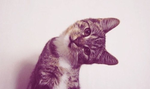 Женя Фиш | Минск