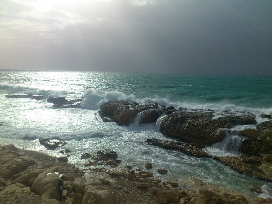 Евгений Харитонов | Чебоксары (деревня)