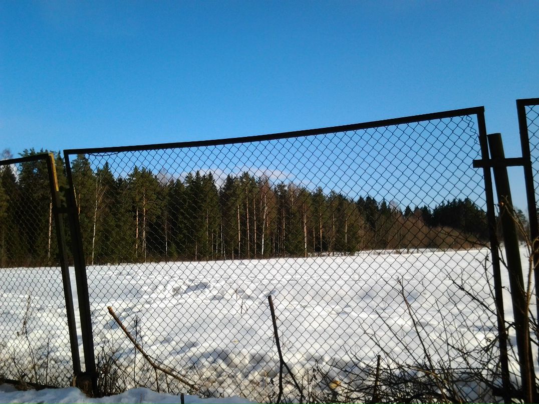 Евгений Бордюговский | Санкт-Петербург