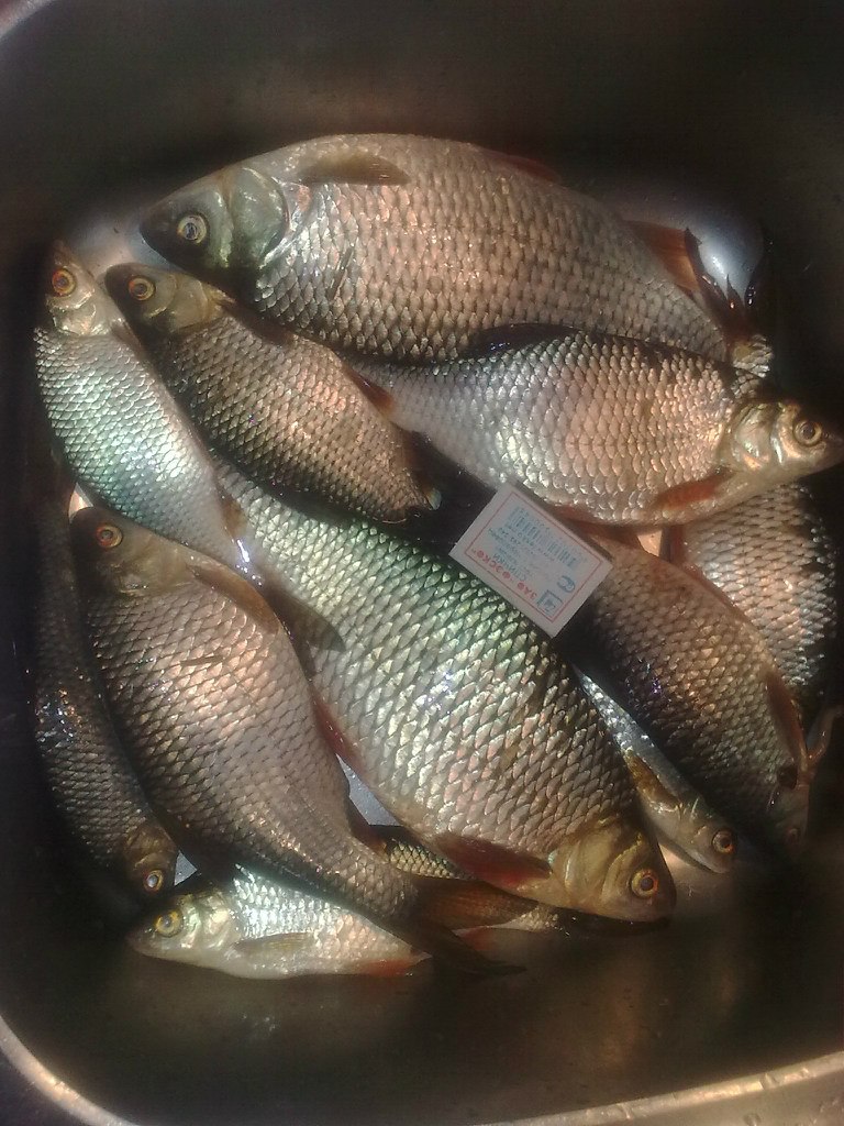 Михаил Данилов | Москва